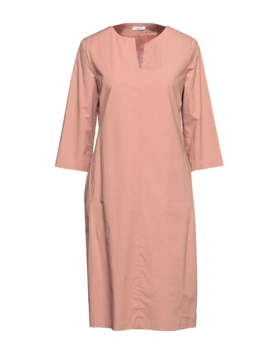 Shop Peserico Woman Midi Dress Pastel Pink Size 6 Cotton, Elastane