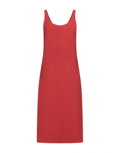 Shop Antonelli Woman Midi Dress Brick Red Size 6 Polyester, Elastane