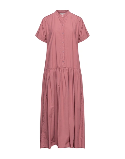 Shop Alessia Santi Woman Long Dress Pastel Pink Size 4 Cotton