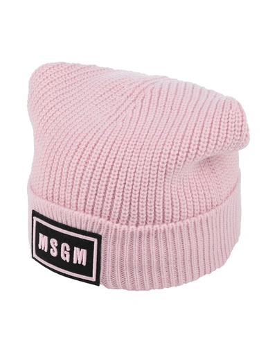 Shop Msgm Hats In Pink