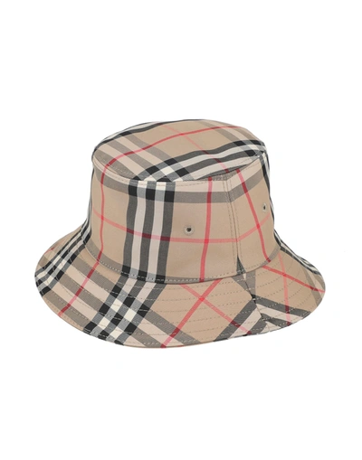 Shop Burberry Hats In Camel