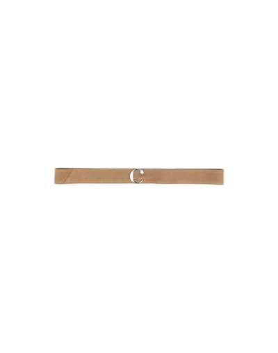 Shop Cacharel Woman Belt Camel Size Onesize Bovine Leather In Beige