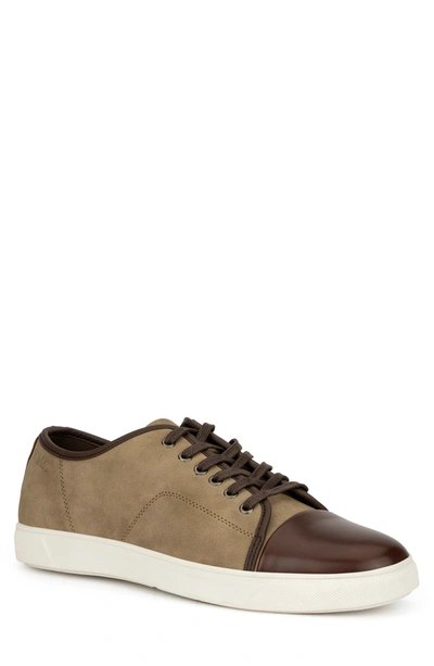 Shop New York And Company New York & Company Felix Fashion Sneaker In Brown