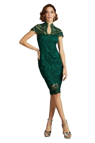 Shop Tadashi Shoji High Neck Cap Sleeve Fitted Lace Dress In Green