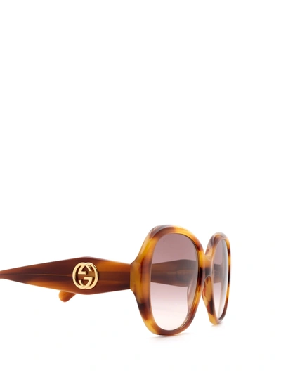 Shop Gucci Gg0796s Havana Female Su In .