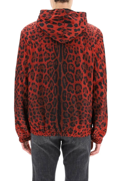 Shop Dolce & Gabbana Leopard Print Nylon Blouson In Mixed Colours