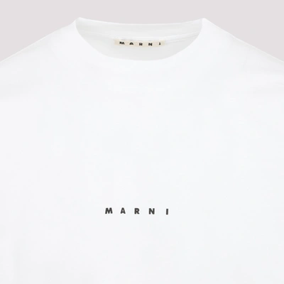 Shop Marni Cotton T-shirt Tshirt In White
