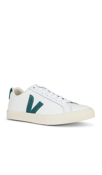 Shop Veja Esplar Sneaker In White