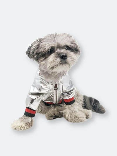 Shop Miamore Metallic Bomber Dog Jacket In White