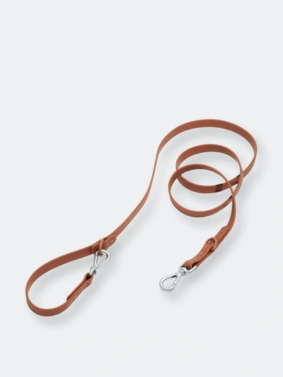 Shop Wild One Leash In Brown