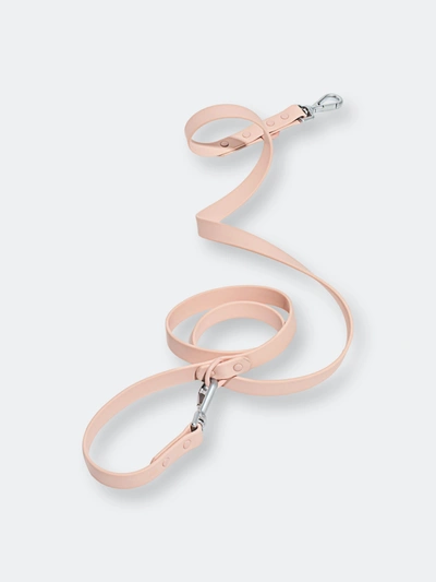 Shop Wild One Leash In Pink