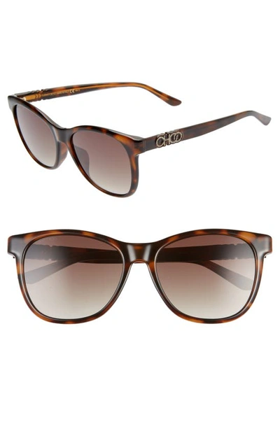 Shop Jimmy Choo June 56mm Special Fit Sunglasses In Dkhavana/ Brown Gradient