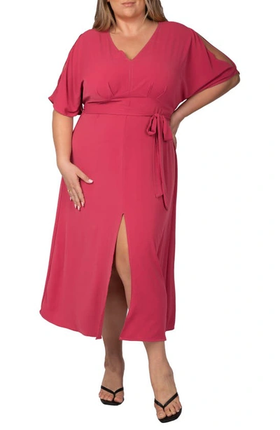 Shop Standards & Practices V-neck Dress In Rose