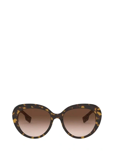 Shop Burberry Sunglasses In Top Dark Havana On Tb Brown