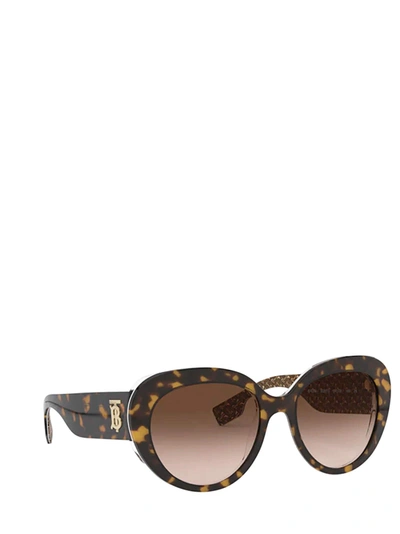 Shop Burberry Sunglasses In Top Dark Havana On Tb Brown