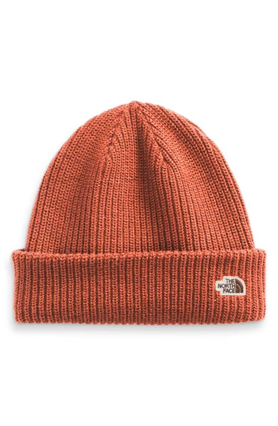 Shop The North Face Salty Dog Beanie In Burnt Ochre/ Moonlight Ivory