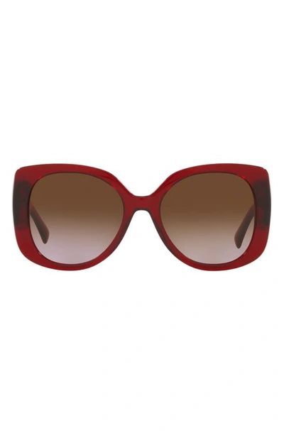 Shop Versace 56mm Butterfly Sunglasses In Transparent Red Brown Gradient