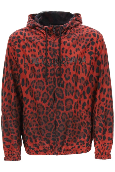 Shop Dolce & Gabbana Leopard Print Nylon Blouson In Red,black