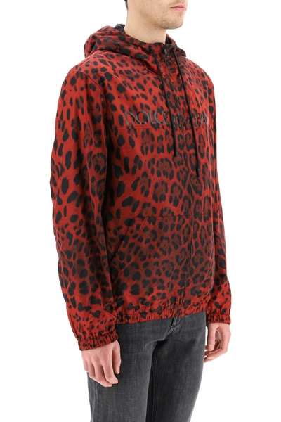 Shop Dolce & Gabbana Leopard Print Nylon Blouson In Red,black