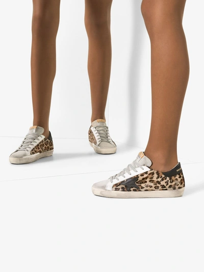 Shop Golden Goose Super-star Leather Sneakers In Animalier