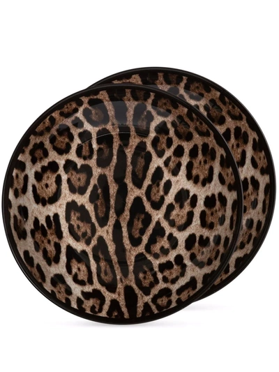 Shop Dolce & Gabbana Leopard-print Porcelain Soup Plates (set Of 2) In Brown