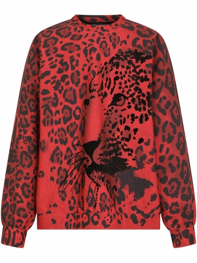 Shop Dolce & Gabbana Leopard-print Sweatshirt In Rot
