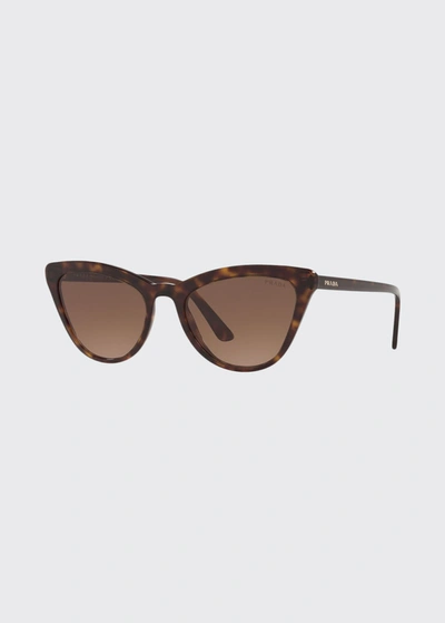 Shop Prada Acetate Cat-eye Sunglasses In Caramel
