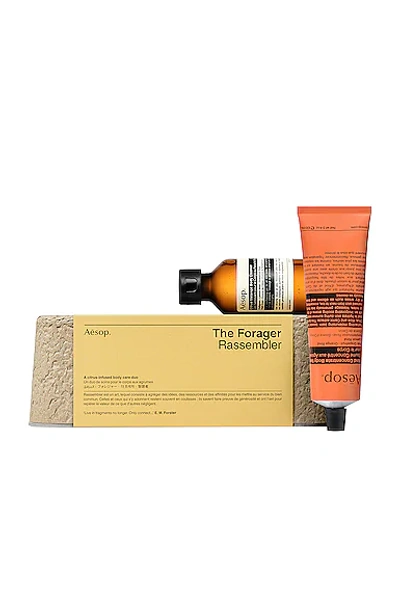 Shop Aesop The Forager Kit In N,a