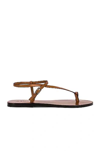 Shop A.emery Lily Sandal In Deep Tan