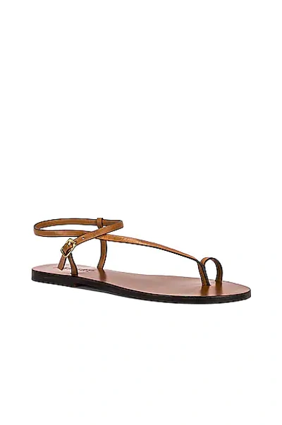 Shop A.emery Lily Sandal In Deep Tan