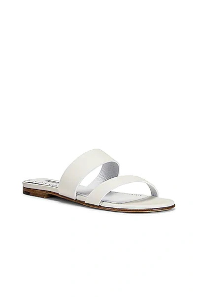 Shop Manolo Blahnik Serrato Sandal In Blanc De Blanc