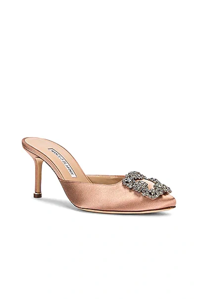 Shop Manolo Blahnik Hangisimu 70 Mule In Nude