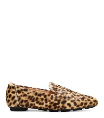 Shop Stuart Weitzman Jet Loafer In Cheetah