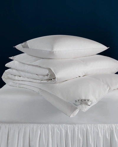 Shop Sferra 600-fill European Down Firm Standard Pillow In White