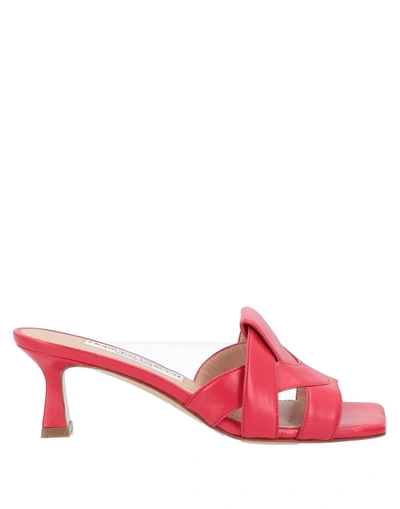 Shop Francesco Sacco Sandals In Red