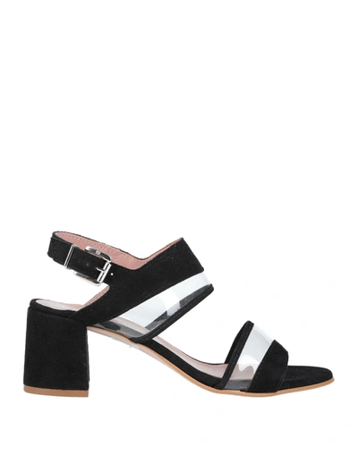Shop Alberto La Torre® Sandals In Black