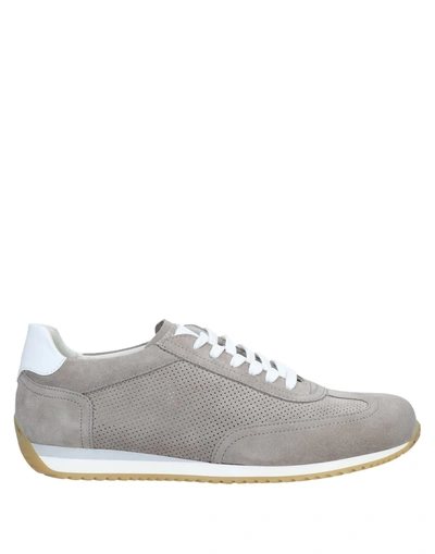 Shop Albusceri Sneakers In Grey
