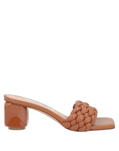 Shop Francesco Sacco Sandals In Brown