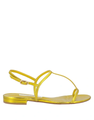 Shop Francesco Sacco Sandals In Yellow