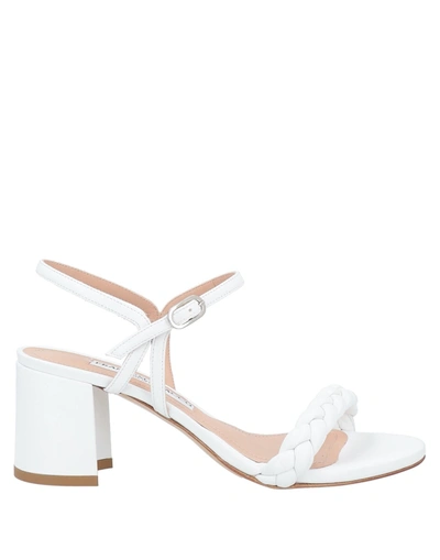 Shop Francesco Sacco Sandals In White