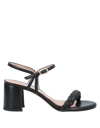 Shop Francesco Sacco Sandals In Black