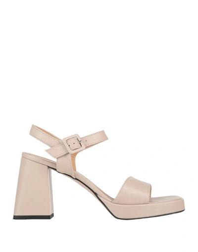 Shop Paolo Mattei Sandals In Blush
