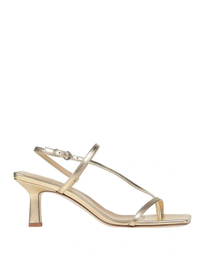 Aeyde Elise Leather Thong Sandals In Gold