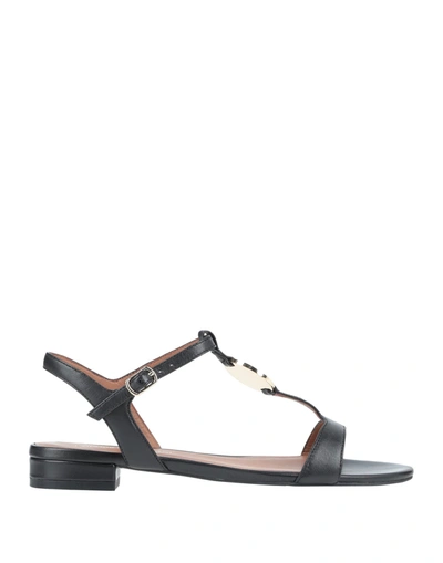 Shop Emporio Armani Woman Sandals Black Size 5 Soft Leather