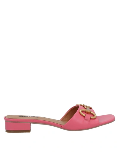Shop Bibi Lou Woman Sandals Pink Size 5 Leather