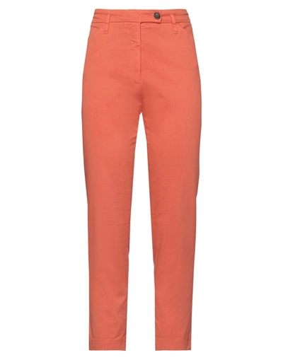 Shop Gold Case Woman Pants Orange Size 8 Cotton, Elastane