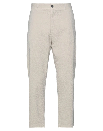 Shop Elvine Pants In Light Grey