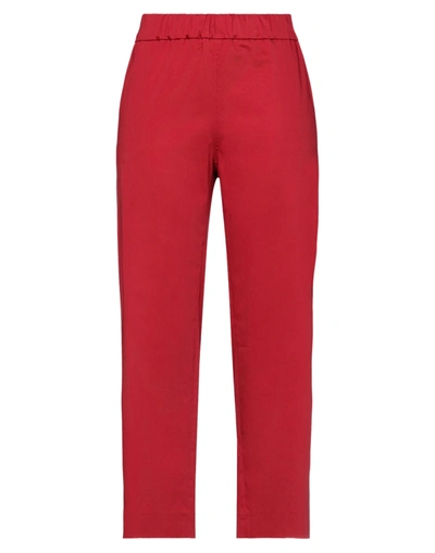 Shop Eleven88 Pants In Red