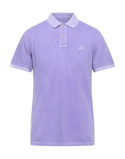 Shop Gant Polo Shirts In Light Purple
