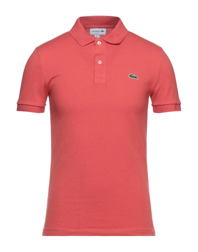 Shop Lacoste Polo Shirts In Coral